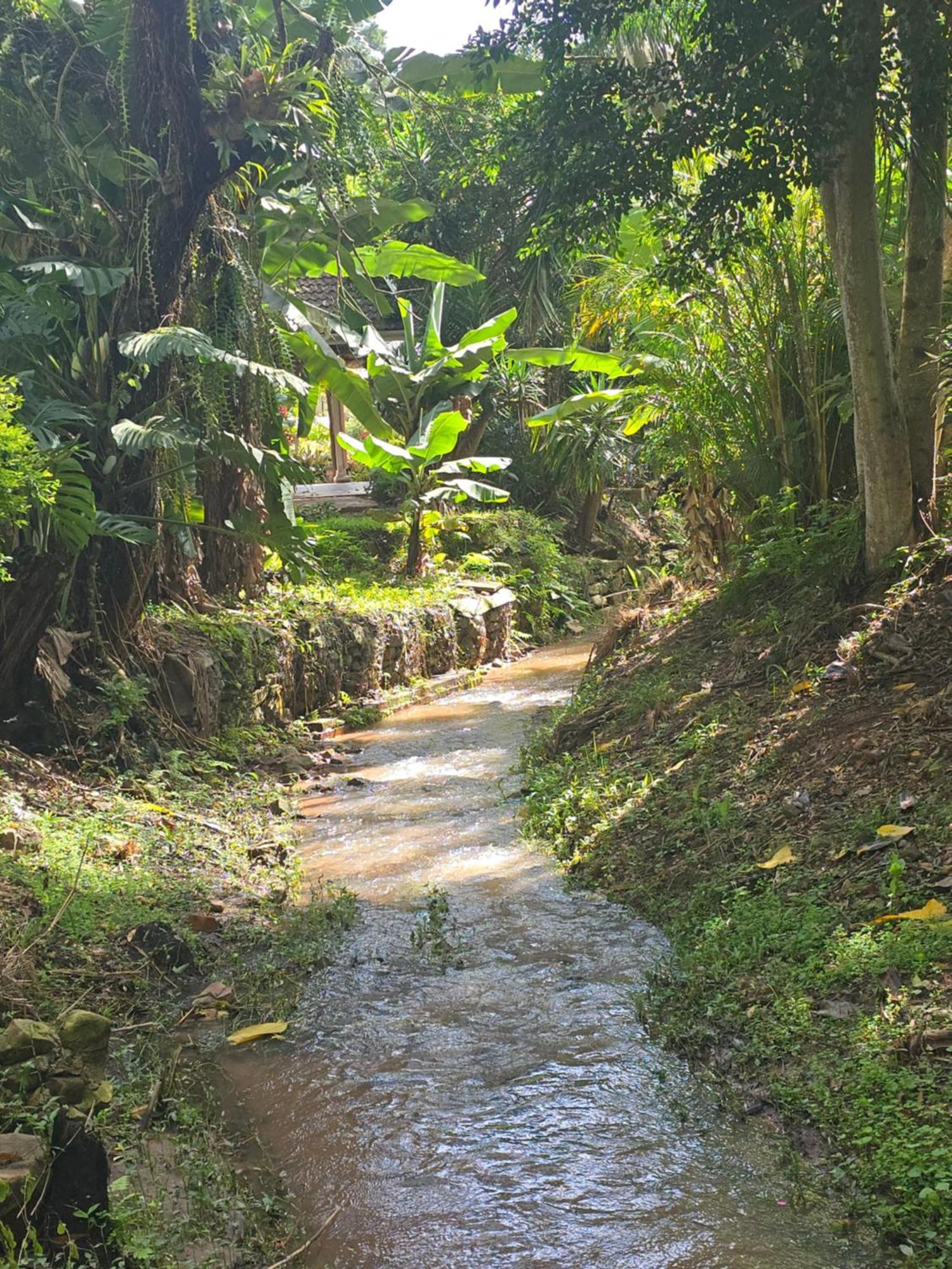 River Heaven Bnb パインタウン エクステリア 写真
